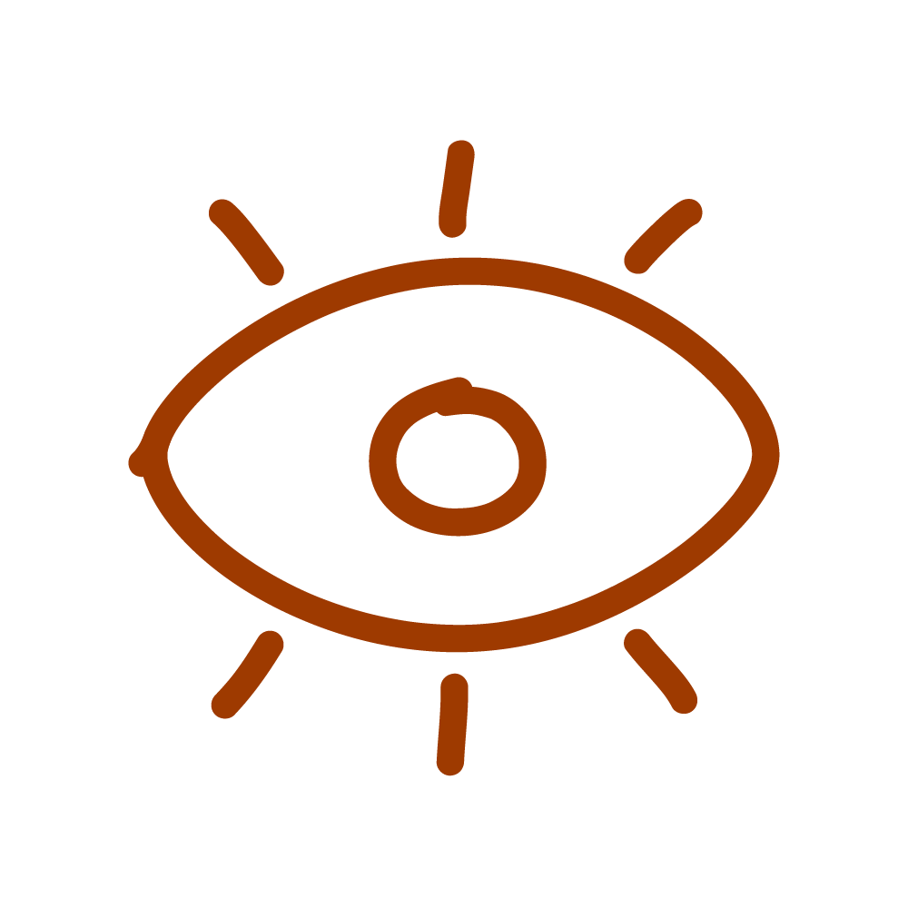 A line-drawing of an eye, representing our company's Vision.